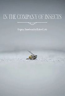 In the Company of Insects