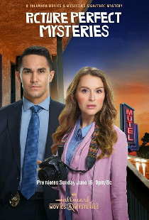 Picture Perfect Mysteries