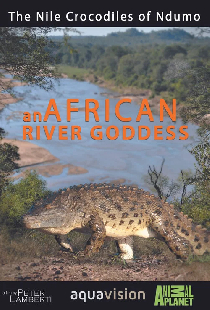 River Dragons of Ndumo