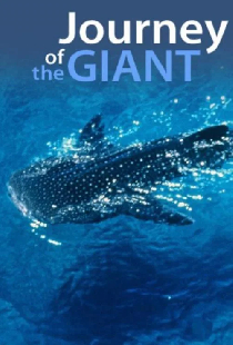 Journey of the Giant