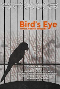 Bird's Eye
