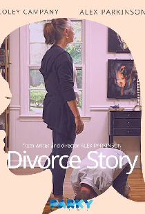 Divorce Story