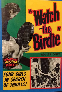Watch the Birdie