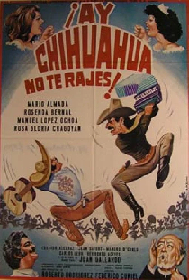 Эй, Чиуауа, не сдавайся!