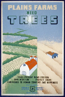 Windbreaks on the Prairies