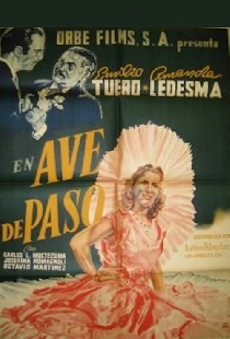 Ave de paso