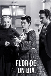 Flor de un día