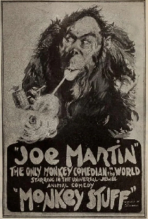 Monkey Stuff