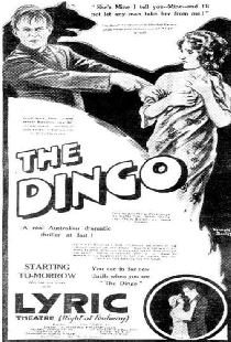 The Dingo