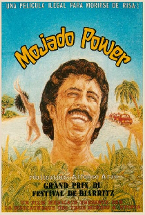 Mojado Power