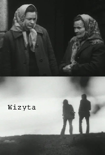 Визит