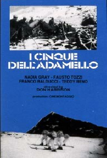 I cinque dell'Adamello