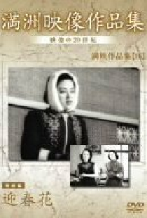迎春花