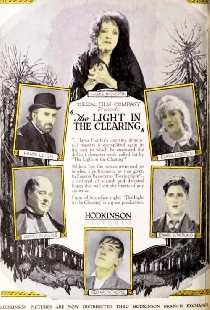 The Light in the Clearing