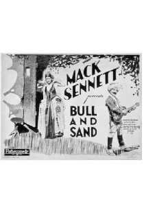 Bull and Sand