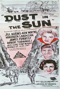 Dust in the Sun