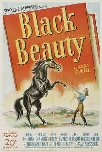 Чёрный красавец