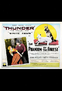 The Phantom of the Forest