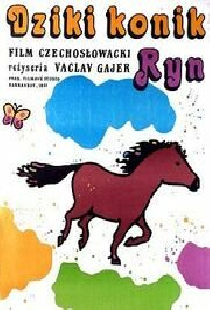 Divoký koník Ryn