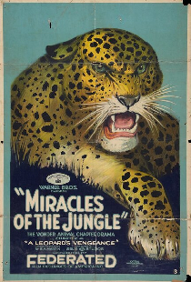 Miracles of the Jungle