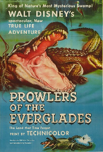 Prowlers of the Everglades