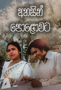 අහසින් පොළොවට