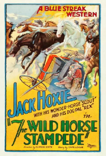 The Wild Horse Stampede