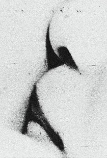 愛