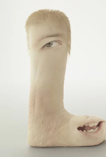 Human Flesh