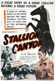 Stallion Canyon