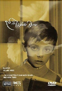 The White Dove