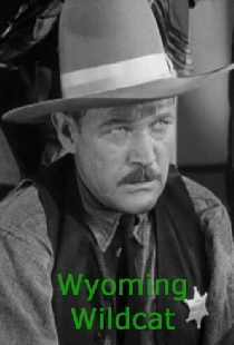 Wyoming Wildcat
