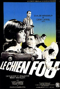 Бешеный пёс