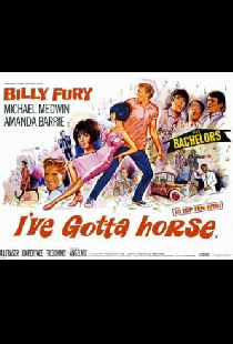 I've Gotta Horse
