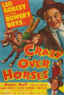 Crazy Over Horses