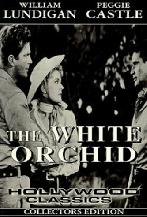 The White Orchid