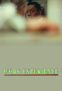 Опыт работы