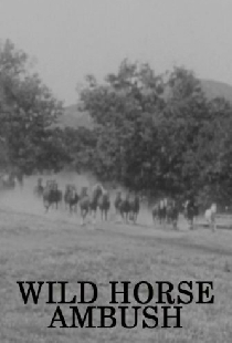 Wild Horse Ambush