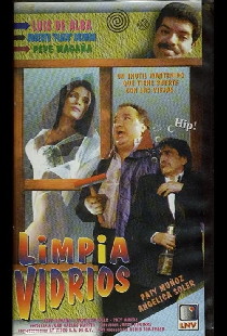 El limpiavidrios