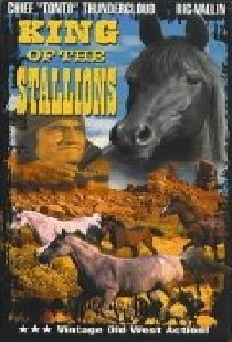 King of the Stallions