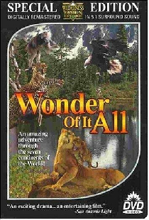 Wonder of It All