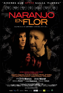 Апельсиновое дерево в цветке