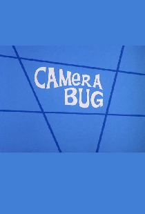 Camera Bug