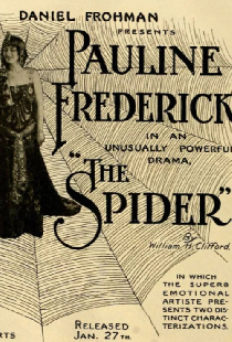 The Spider