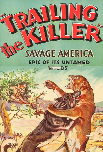 Trailing the Killer