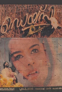 ഡെയ്സി