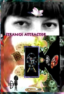 Strange Attractor