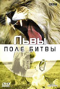 BBC: Львы. Поле битвы