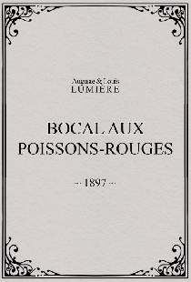 Bocal aux poissons rouges