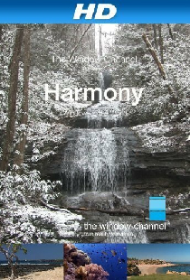 Harmony